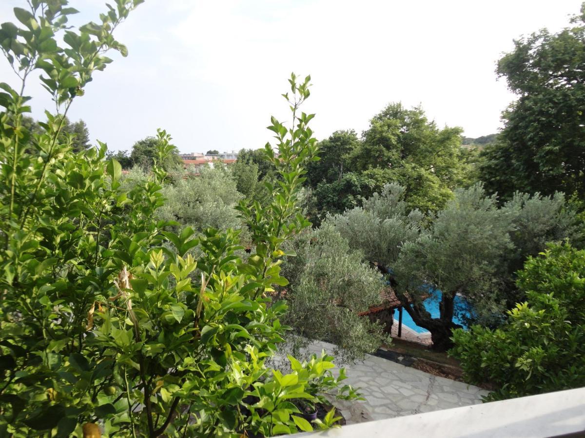Hotel Makis House Nikiti  Exterior foto